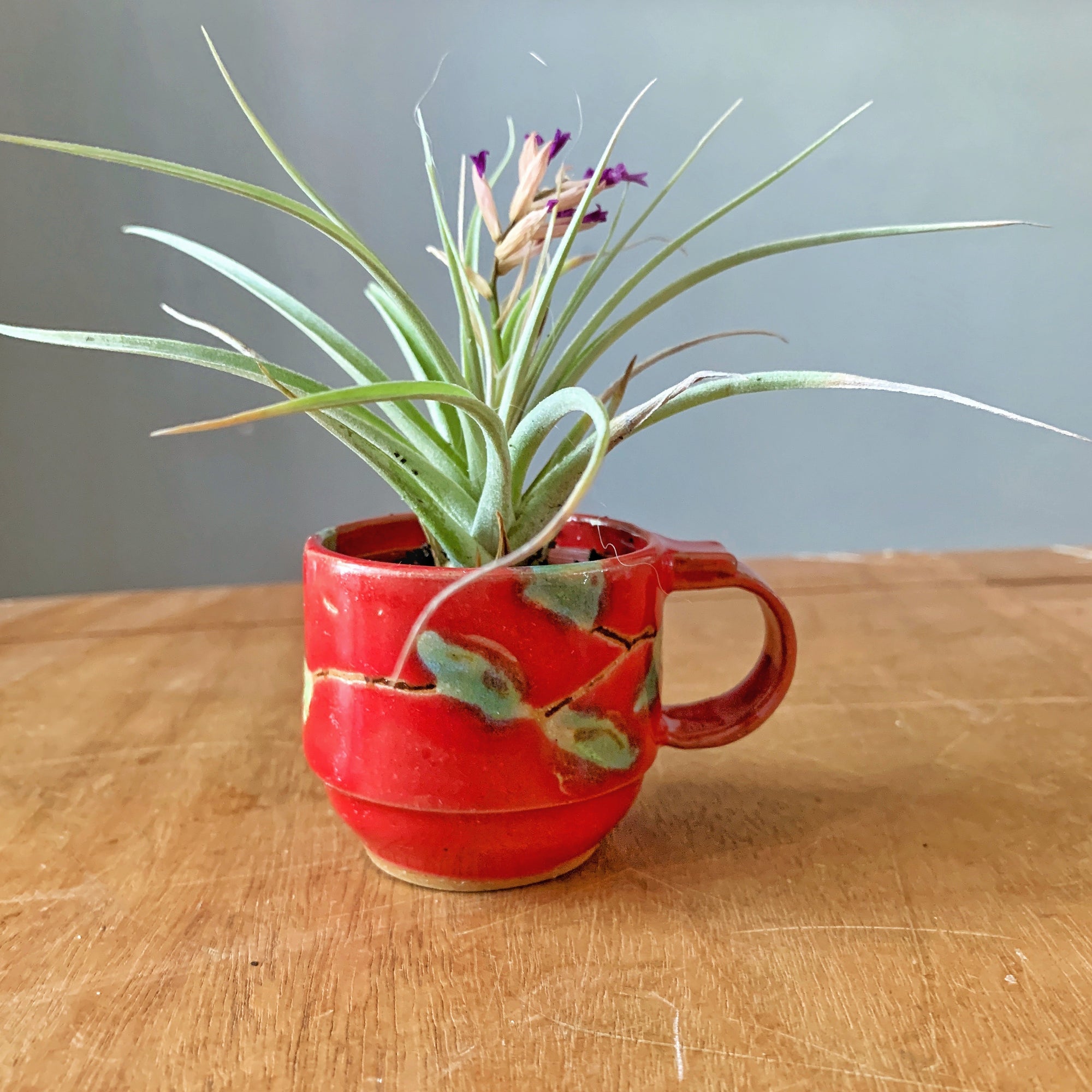 Cherry Espresso Cups